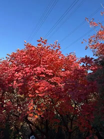 微信图片_2025-11-06_105820_202.jpg