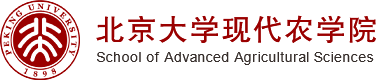 bat365中文官方网站